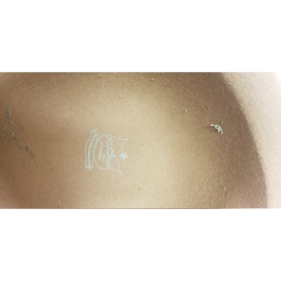 Vintage Ladies Hat Wool Felt Ostrich Feather  Doeskin George Bollman Co & Box - Picture 7 of 8